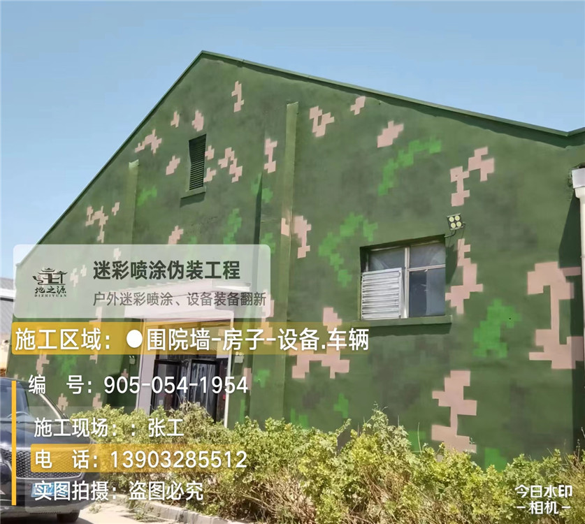 来宾外墙数码迷彩漆施工报价清单（100㎡标准墙面测算）